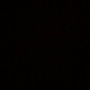 Meet your Posher, Max